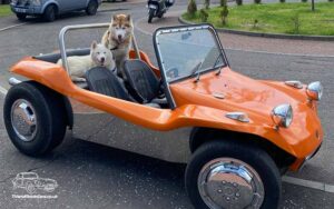 TV and Movie Cars Scotland Europe Cars VW Volkswagen Beach Buggy with dogs 800px